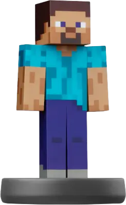 Steve